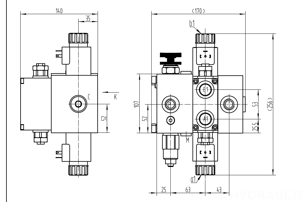 DCV58F ملف لولبي صمام 1 صمام اتجاهي قطاع drawing image