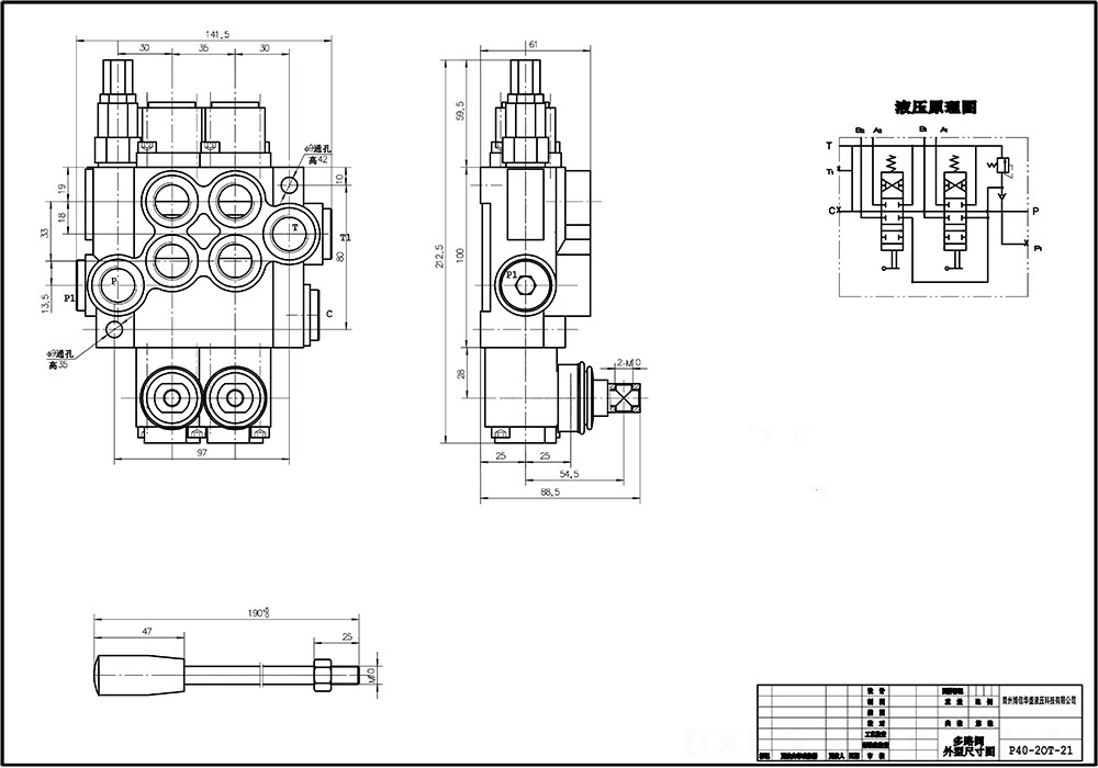 P40A يدوي صمام 2 صمام اتجاهي كتلة واحدة drawing image