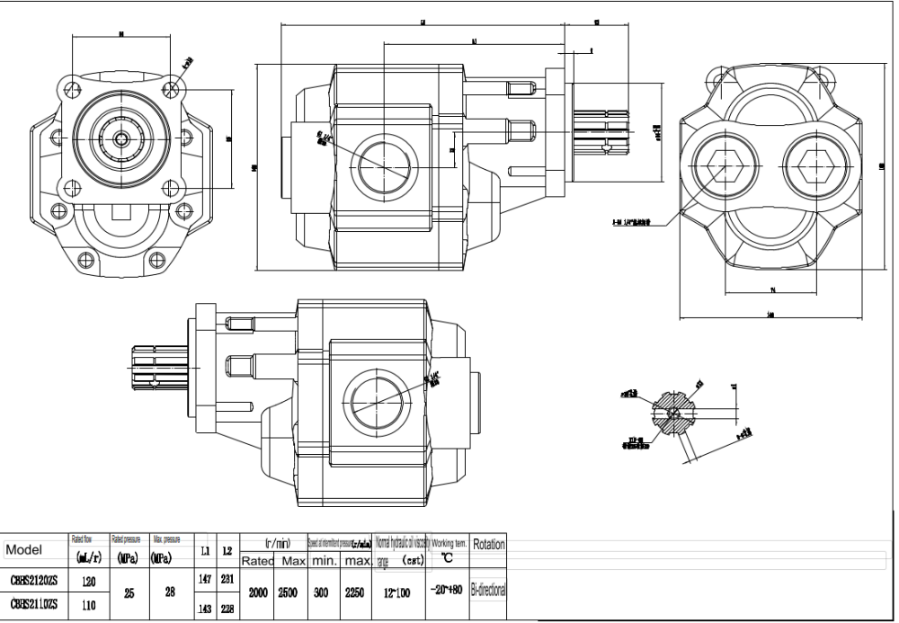 CBHST1-ISO-110 110 سم مكعب/لفة مضخة التروس الهيدروليكية drawing image