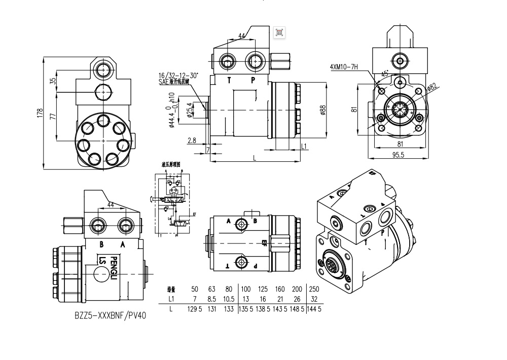 101S-5T-50-PV40 ٥٠ مل/د ٥ لتر/دقيقة وحدة التوجيه drawing image