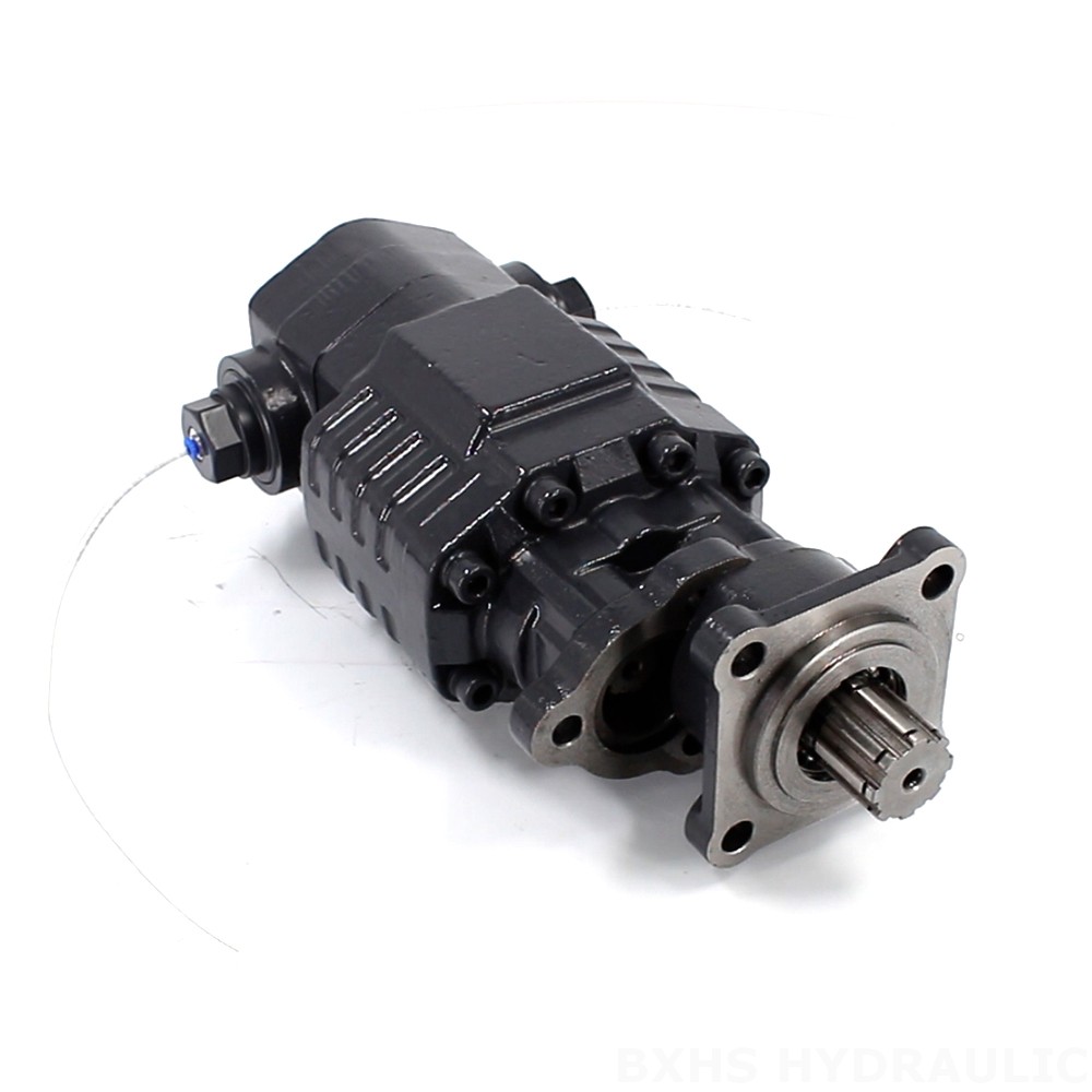 BF110A-ZF1 110 سم مكعب/لفة 20 ميجا باسكال (2900 رطل لكل بوصة مربعة) مضخة التروس الهيدروليكية image