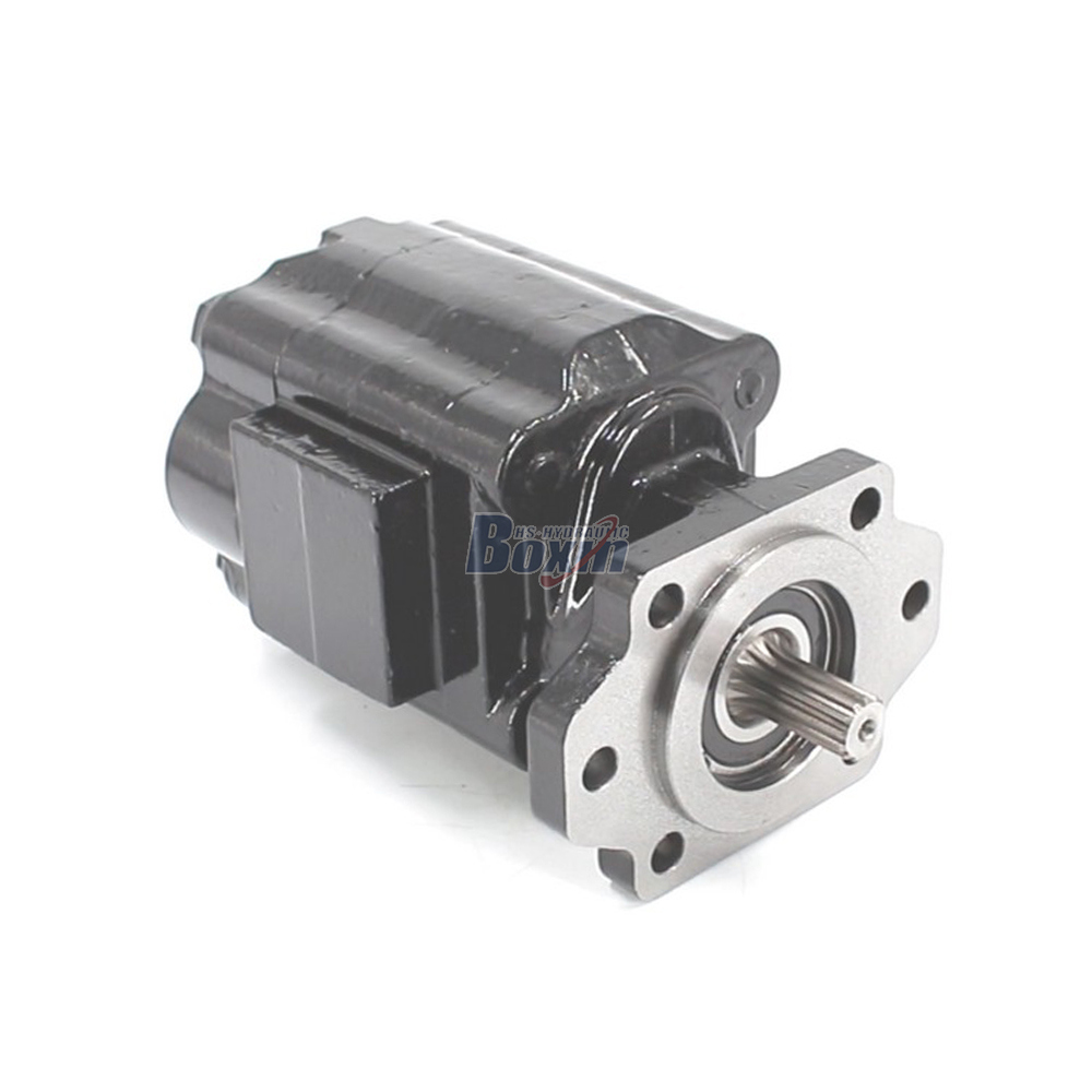 P51A646TEYR25-25 104.5 سم³/دورة 16 ميجا باسكال (2320 رطل لكل بوصة مربعة) مضخة التروس الهيدروليكية image