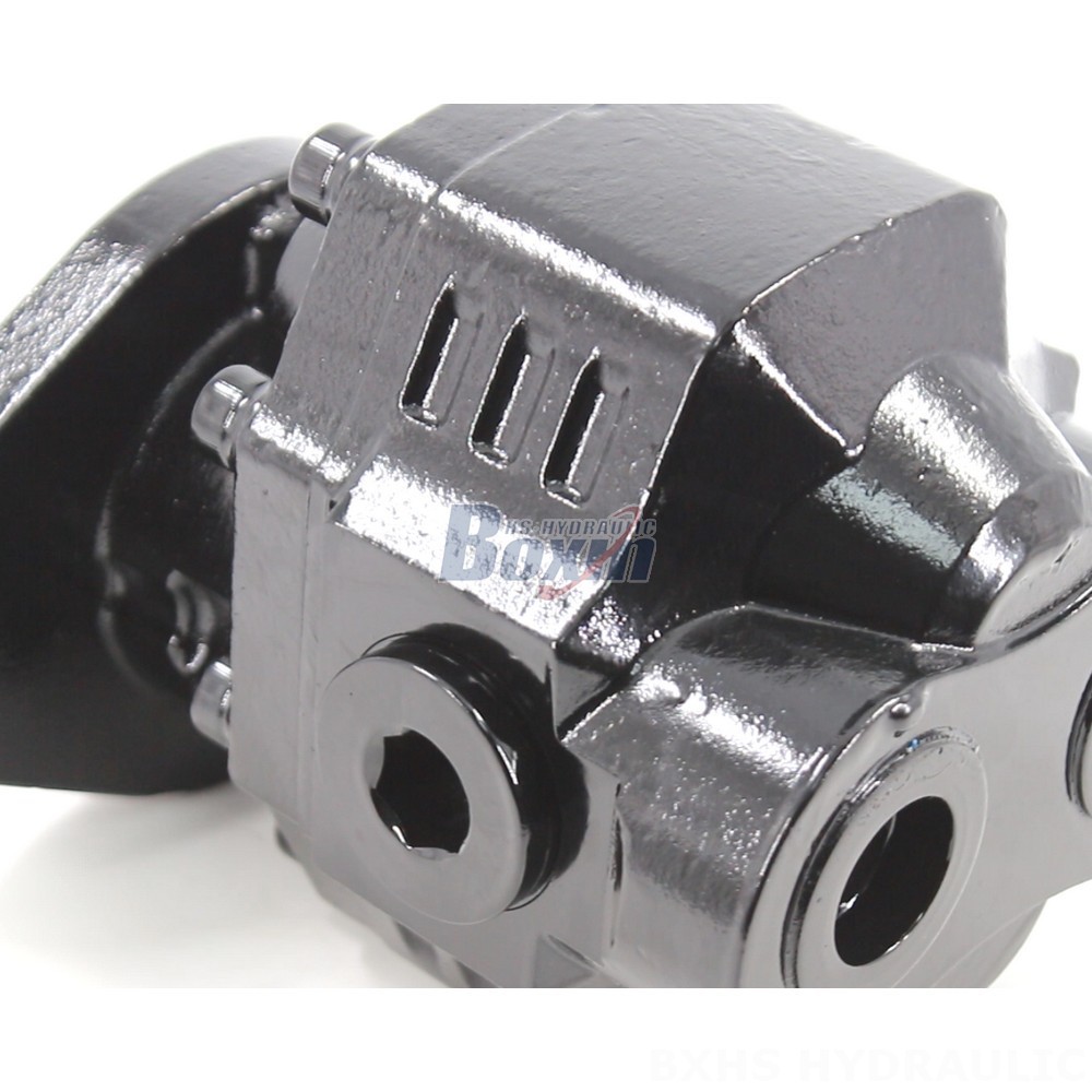 CBHL-2000 50 cc/rev Hydraulic Gear Pump: Factory Supply & Customization detail image
