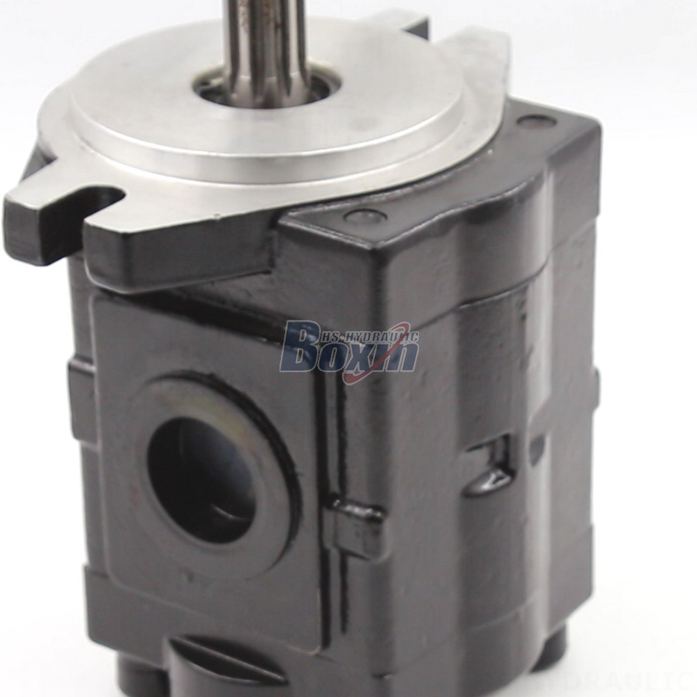 Private Label & OEM Manufacturing: 20 cc/rev Hydraulic Gear Pumps for Your Brand detail image