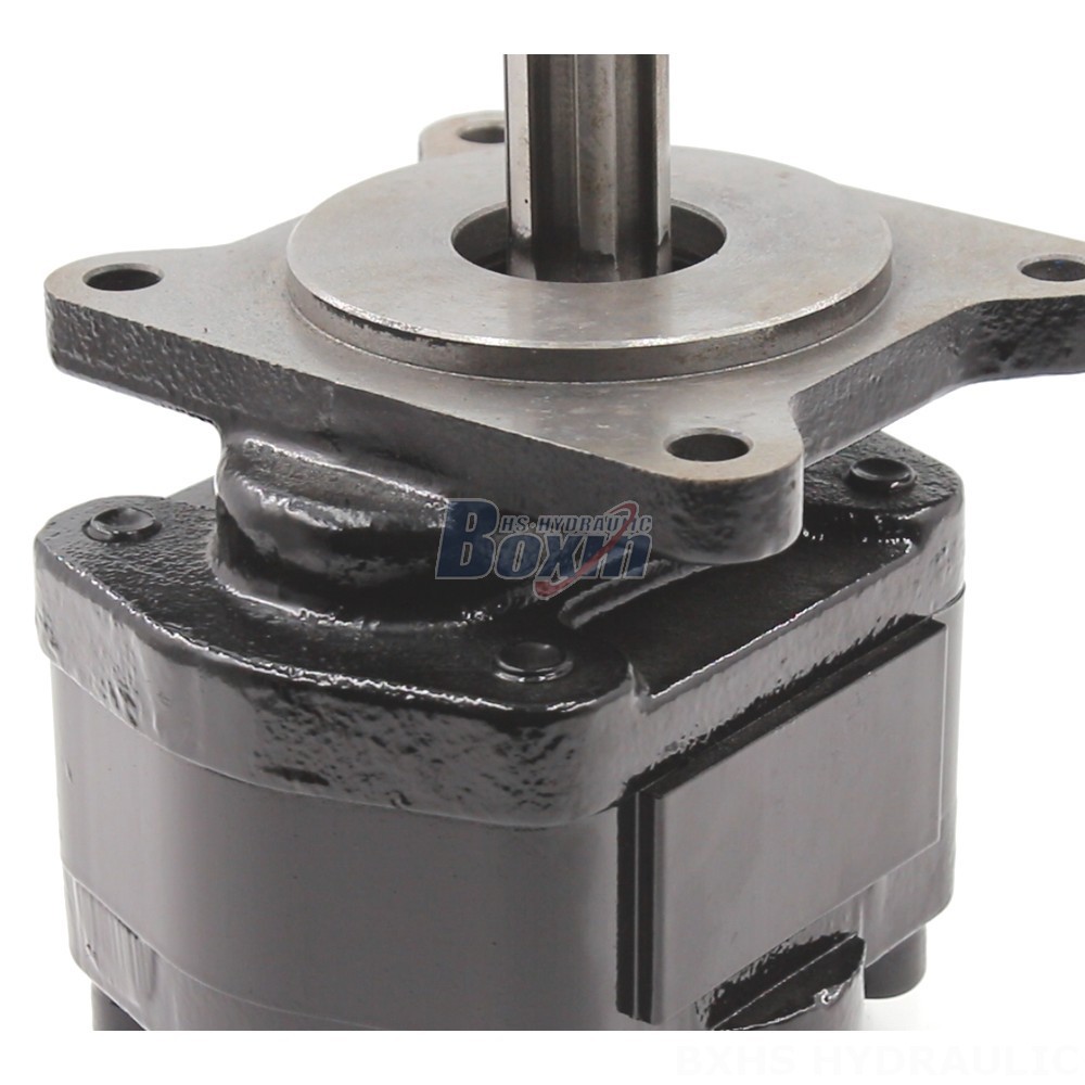 High Flow Rate Hydraulic Gear Pump | 20 cc/rev | Reliable & Efficient detail image