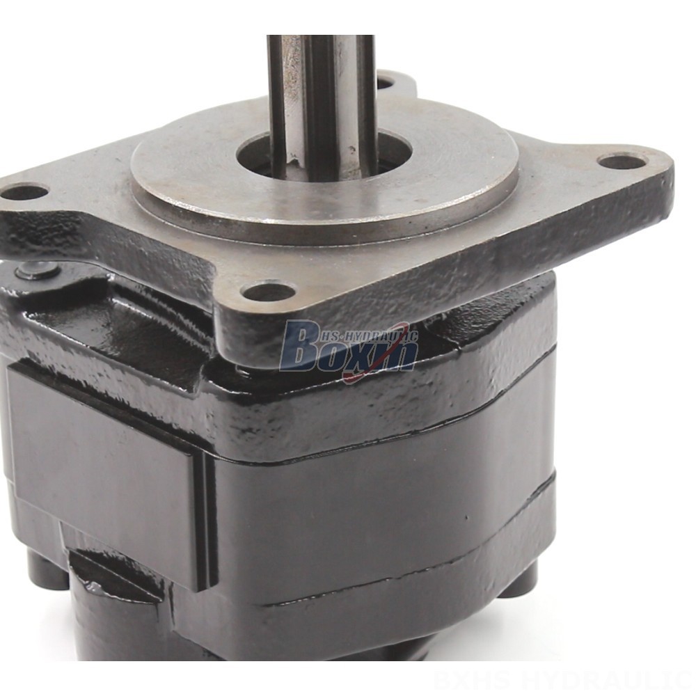High Flow Rate Hydraulic Gear Pump | 20 cc/rev | Reliable & Efficient detail image