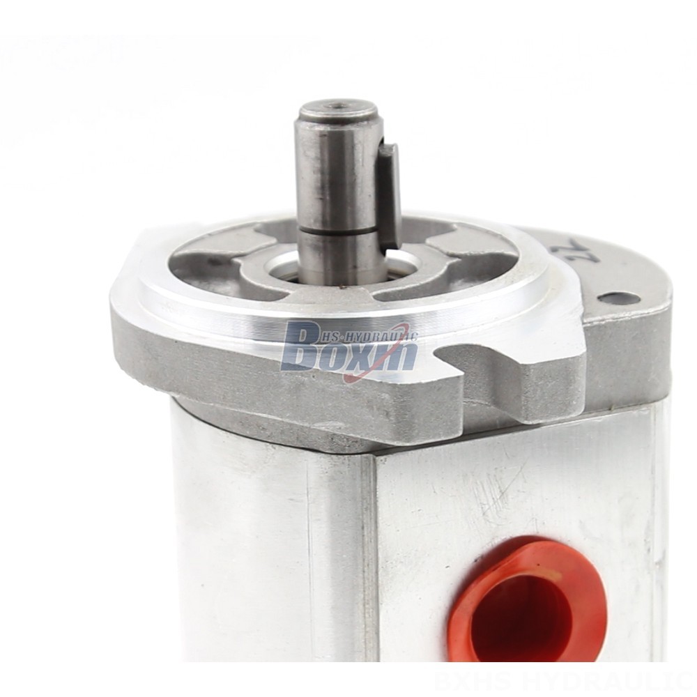 CBHS-FL304 Hydraulic Gear Pump: Reliable & Efficient | Manufacturer Supply detail image