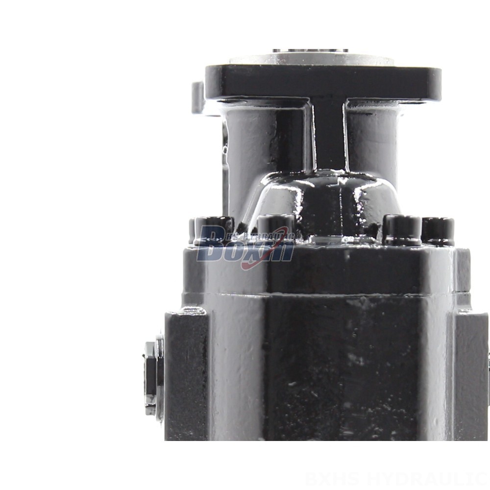 Hydraulic Gear Pumps CBHST1-ISO-63: Quality, Efficiency, Reliability detail image
