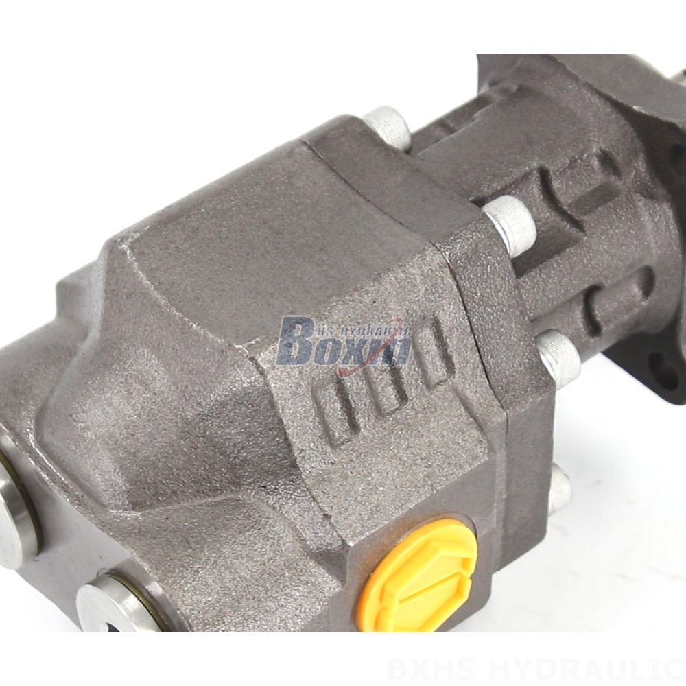 Reliable Hydraulic Gear Pump CBHW-ISO-100-Y for Heavy Duty Applications detail image