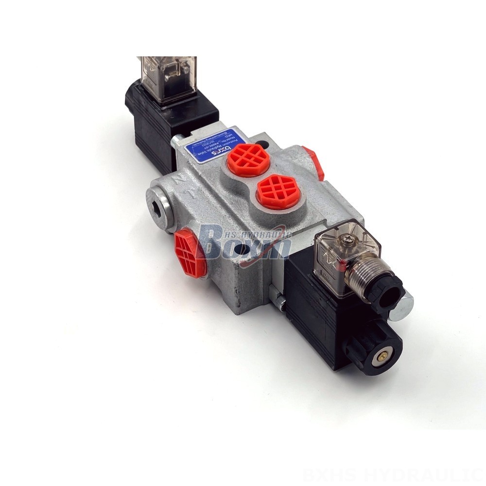P40-DKL Valves: OEM/ODM Services for Private Labeling & Customization detail image