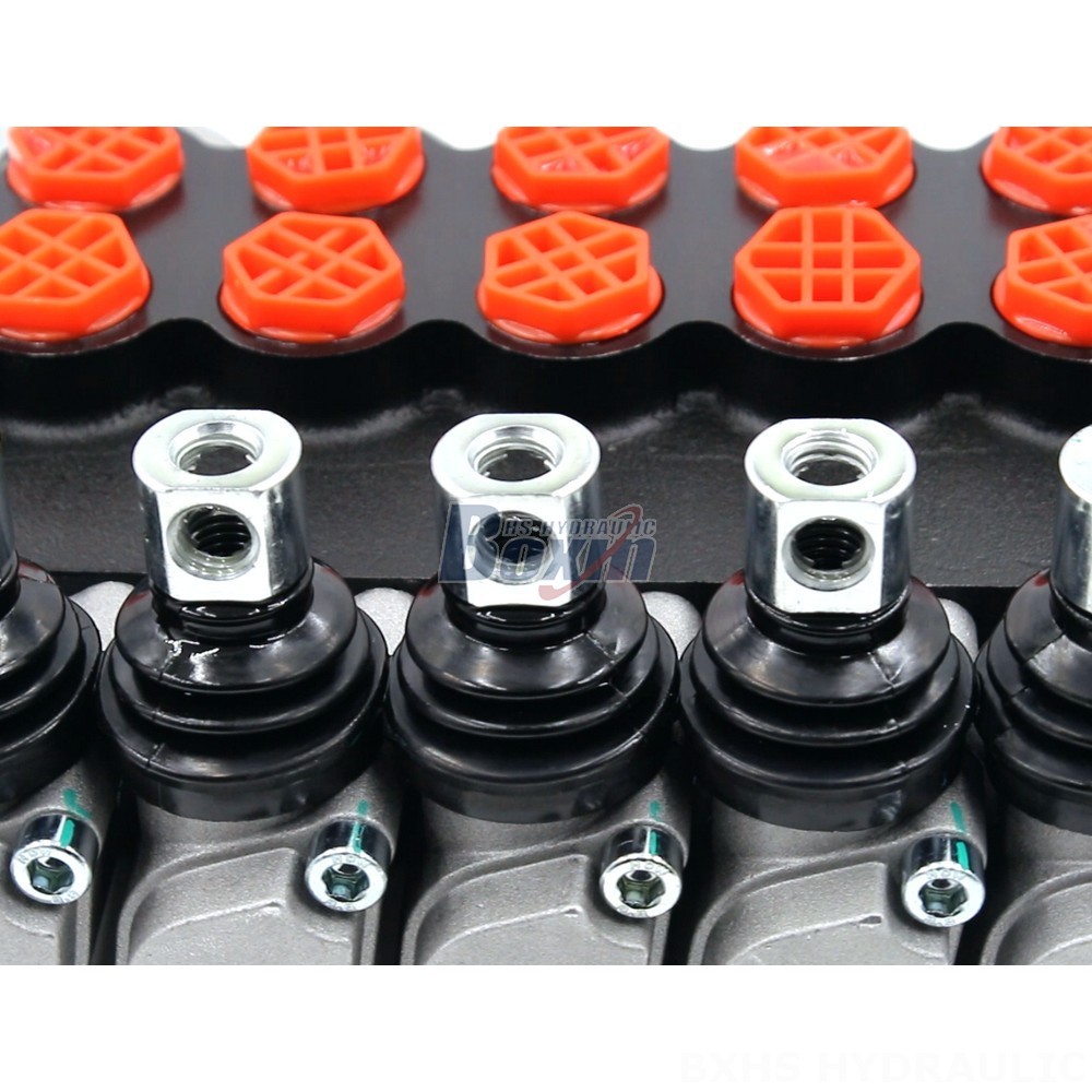 Factory Authorized Distribution: Ensure Genuine P40-G12-G38 Valves and Support detail image