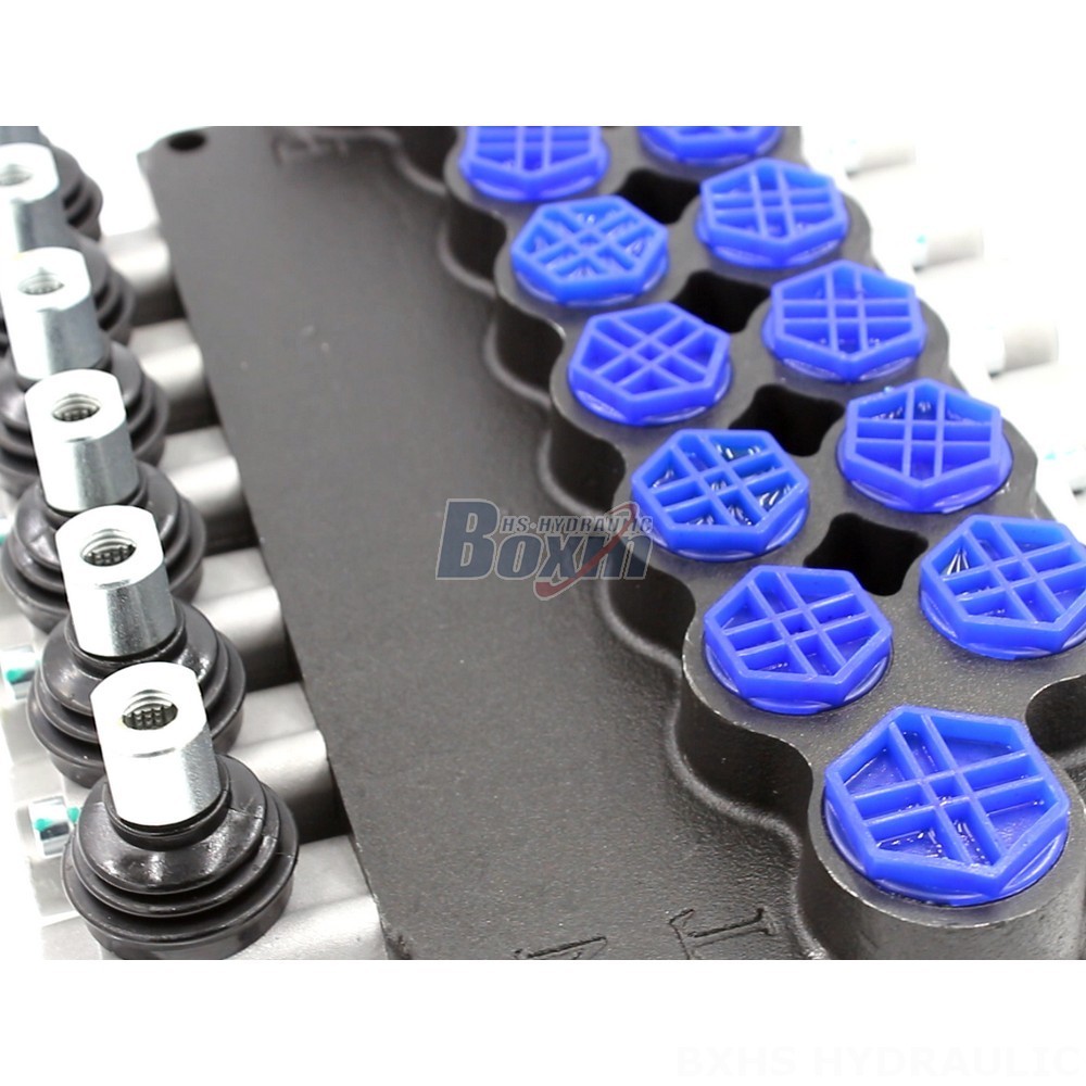 Manufacturer of P80-AQF-G Monoblock Valves: Wholesale & Customization Available detail image