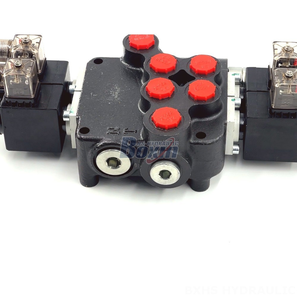 Manual Monoblock Directional Valve - P80 Series | Wholesale & OEM detail image