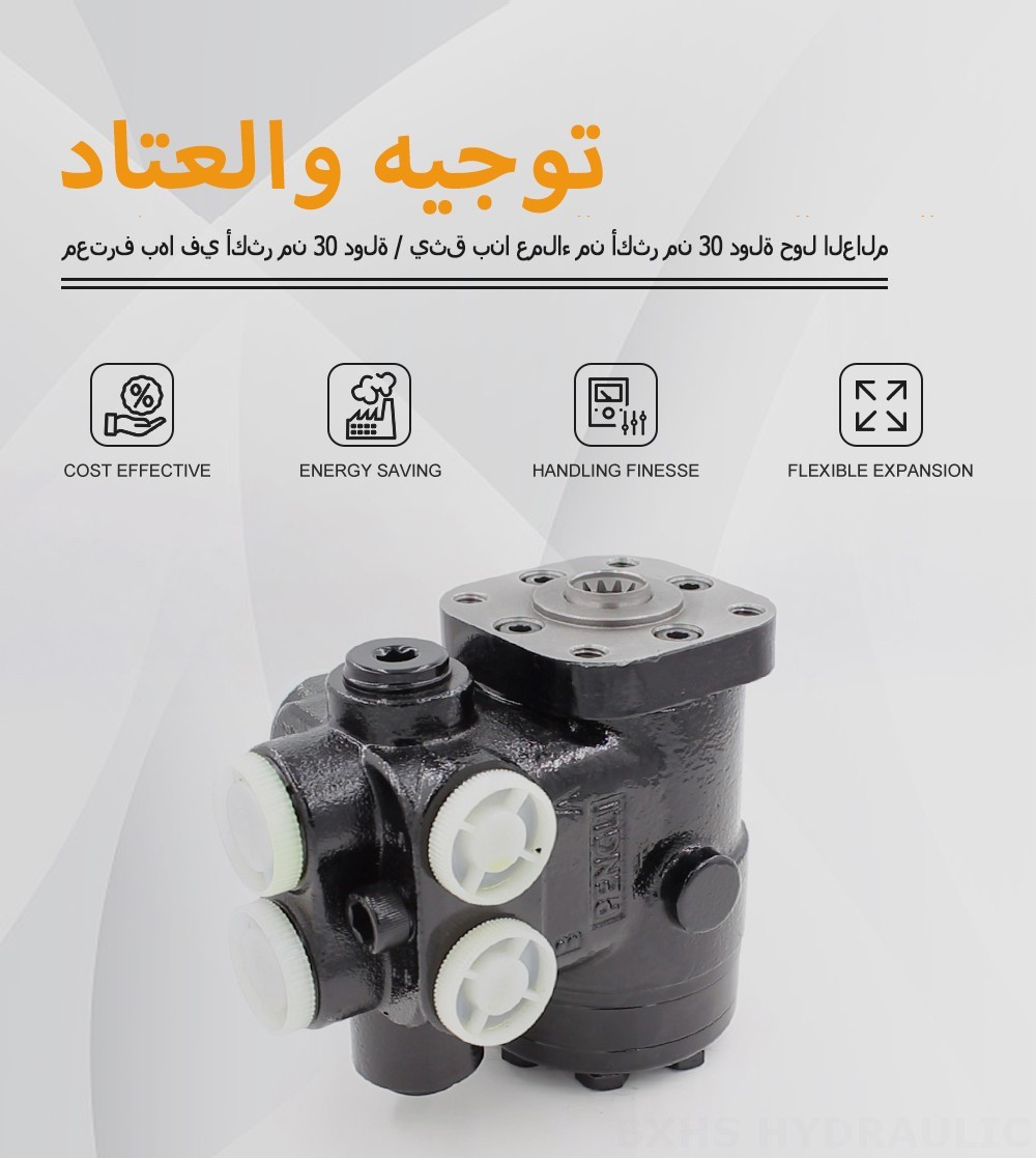 101S-5T-100-PV80 ١٠٠ مل/د ١٠ لتر/دقيقة وحدة التوجيه