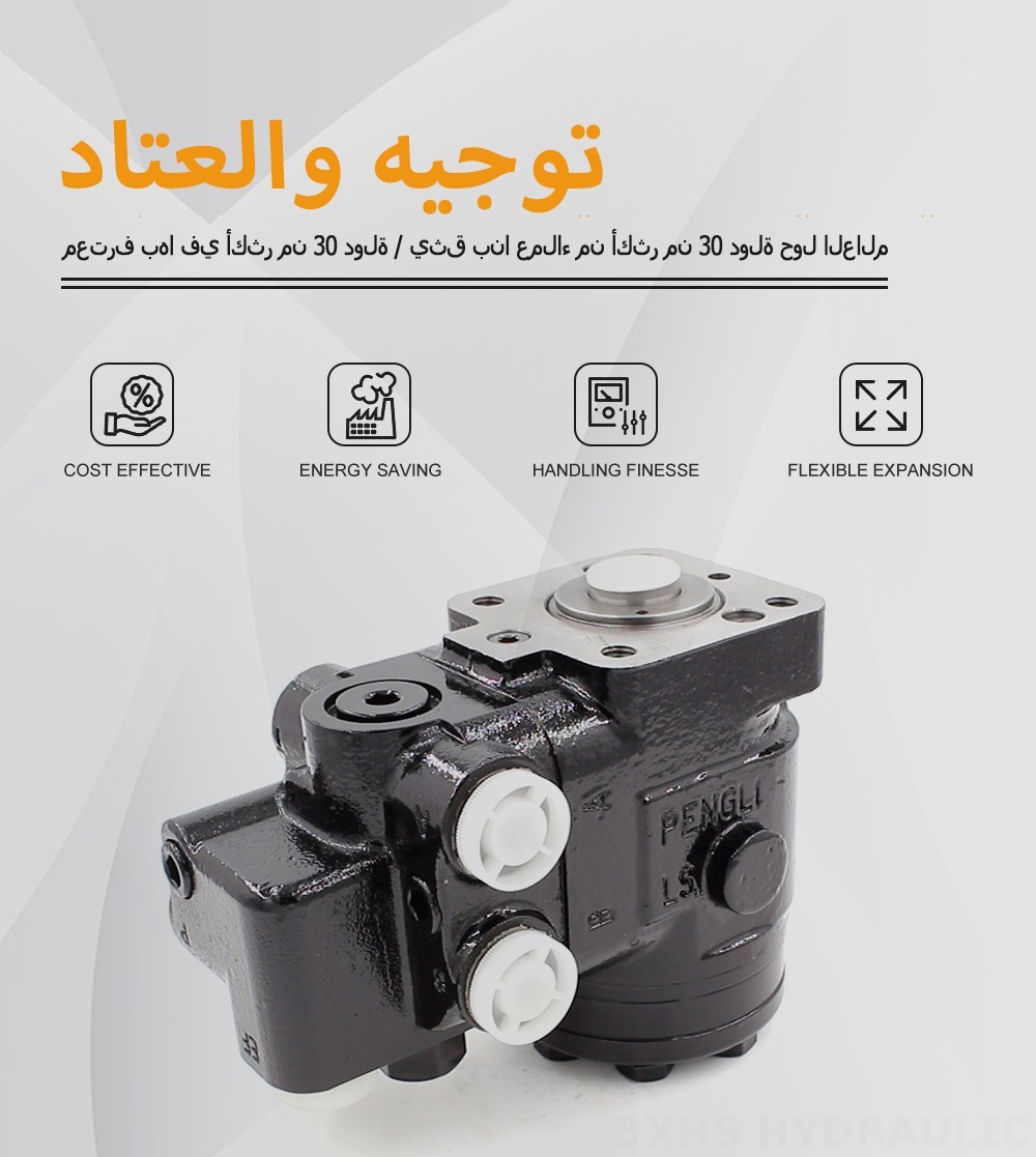 101S-5T-80-PV60 ٨٠ مل/د ٨ لتر/دقيقة وحدة التوجيه