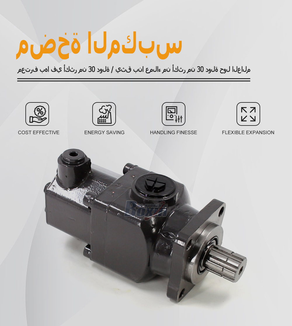 Reliable B6-50 50cc Hydraulic Pump for Machinery