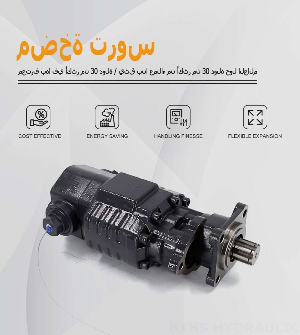 BF110A-ZF1 110 سم مكعب/لفة 20 ميجا باسكال (2900 رطل لكل بوصة مربعة) مضخة التروس الهيدروليكية