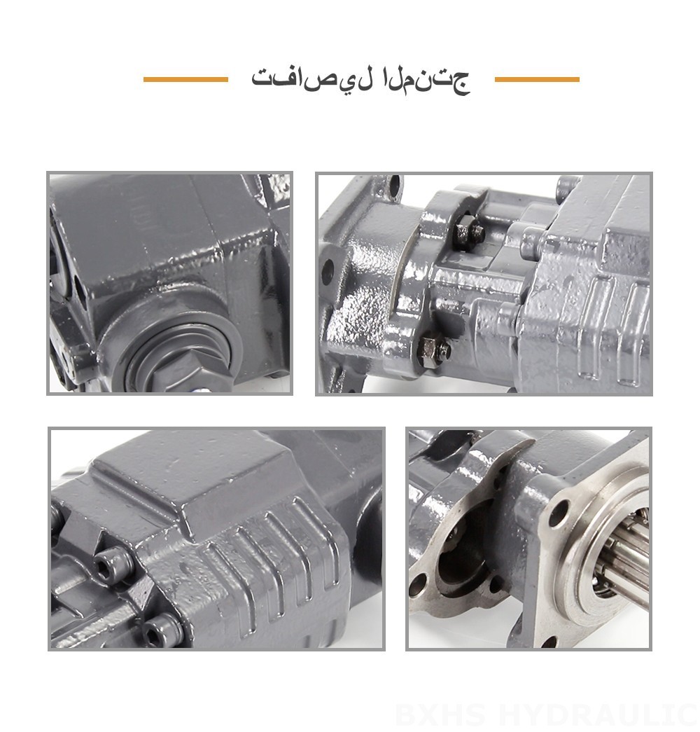 BF110A-ZF1 110 سم مكعب/لفة 20 ميجا باسكال (2900 رطل لكل بوصة مربعة) مضخة التروس الهيدروليكية