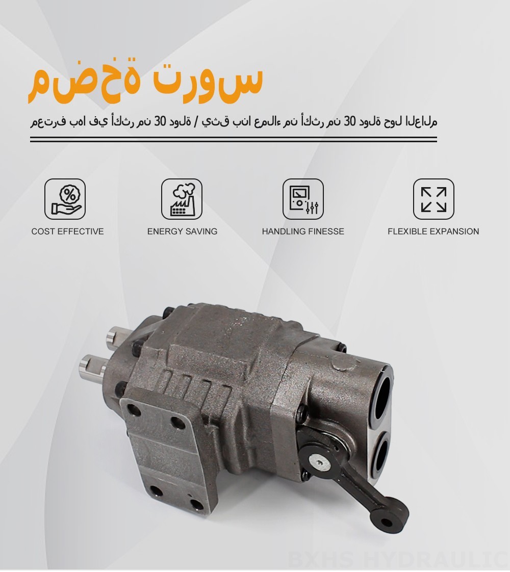 BF110M 110 سم مكعب/لفة 20 ميجا باسكال (2900 رطل لكل بوصة مربعة) مضخة التروس الهيدروليكية