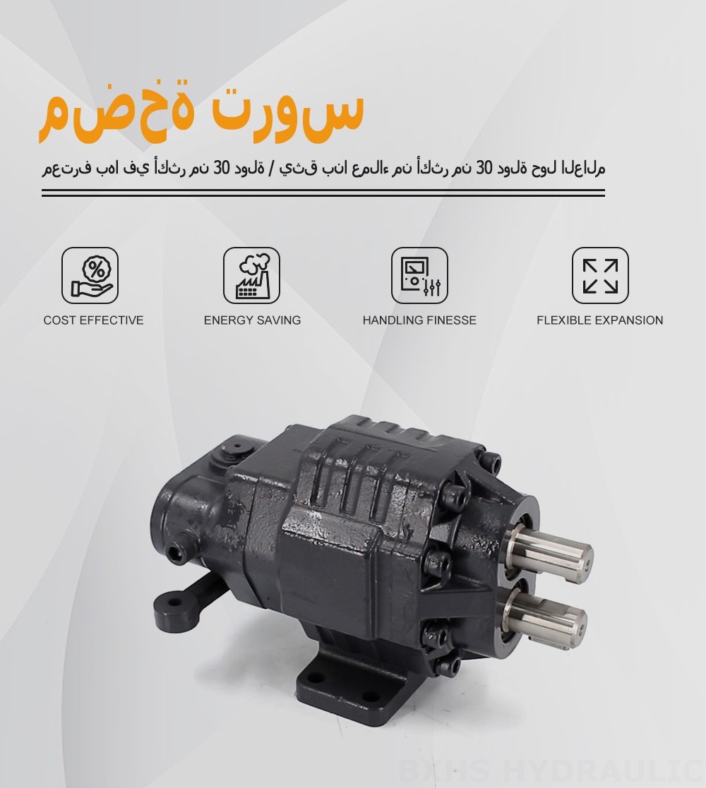 BF62M 63 سم مكعب/لفة 20 ميجا باسكال (2900 رطل لكل بوصة مربعة) مضخة التروس الهيدروليكية