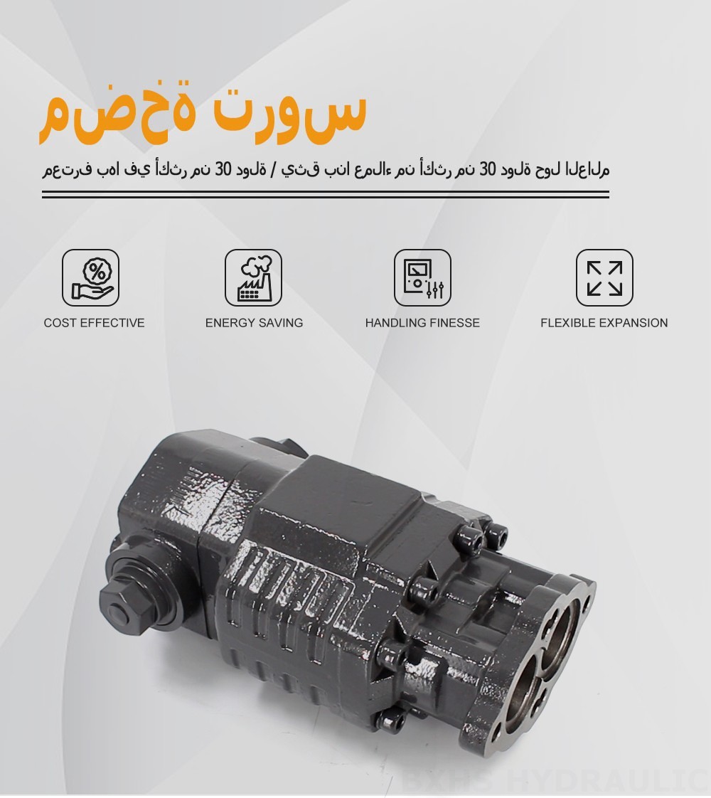 BF82A 80 سم مكعب/لفة 20 ميجا باسكال (2900 رطل لكل بوصة مربعة) مضخة التروس الهيدروليكية