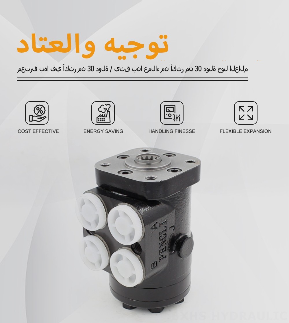 BZZ1-E160B ١٦٠ مل/د ١٢ لتر/دقيقة وحدة التوجيه