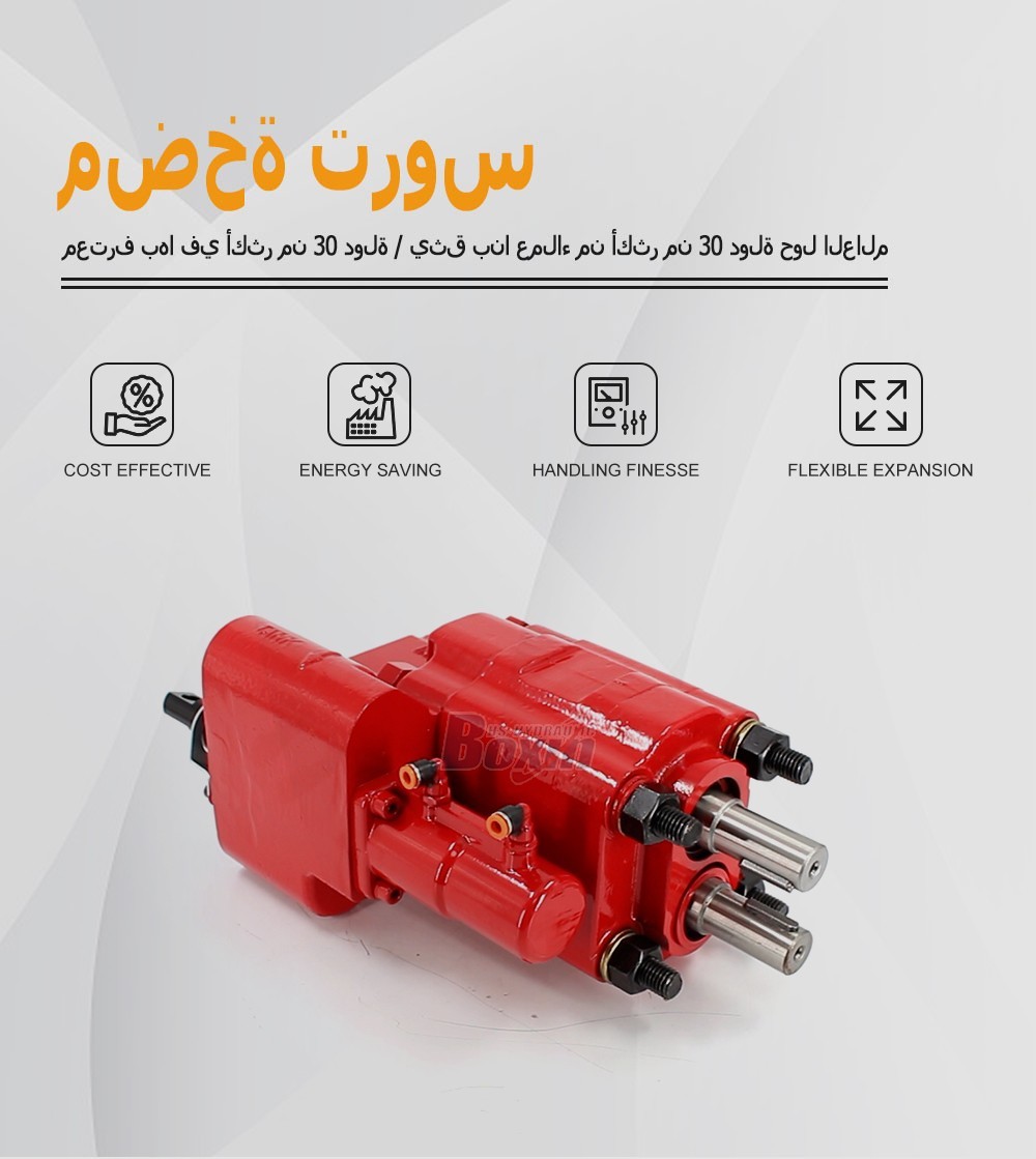 Custom OEM/ODM C101-25-AS-H 100 cc/rev Hydraulic Gear Pump Manufacturing Services