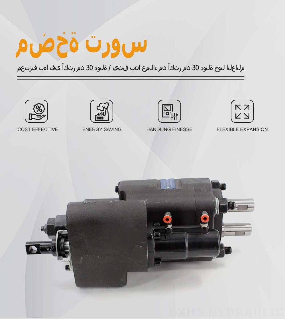 C101-25-LAS 112 سم مكعب/لفة مضخة التروس الهيدروليكية