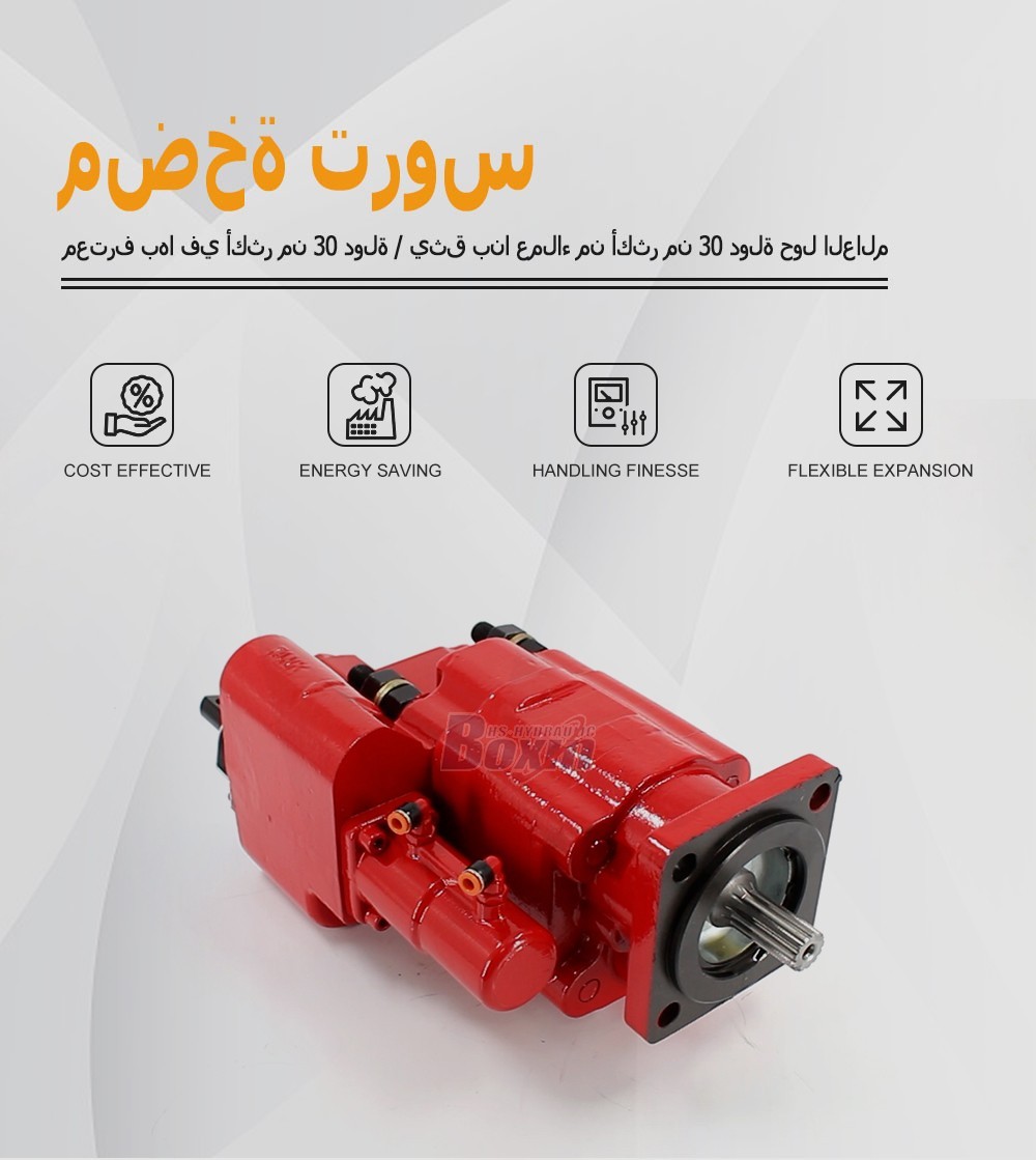 Wholesale Price C102-AS-25-H 100 cc/rev Hydraulic Gear Pump from Manufacturer