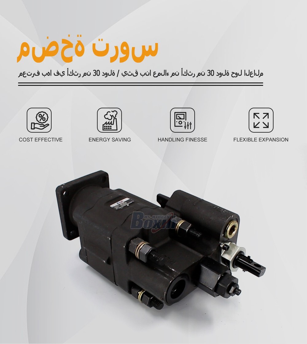 High Performance C102-LMS-25 100 cc/rev External Gear Pump