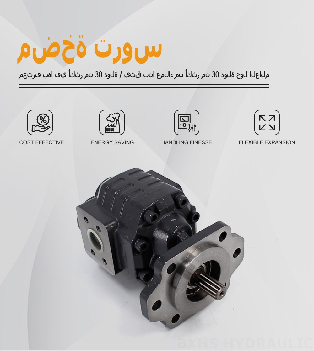 CBHC-2082 82 cc/rev 28 MPa (4061 psi) مضخة التروس الهيدروليكية