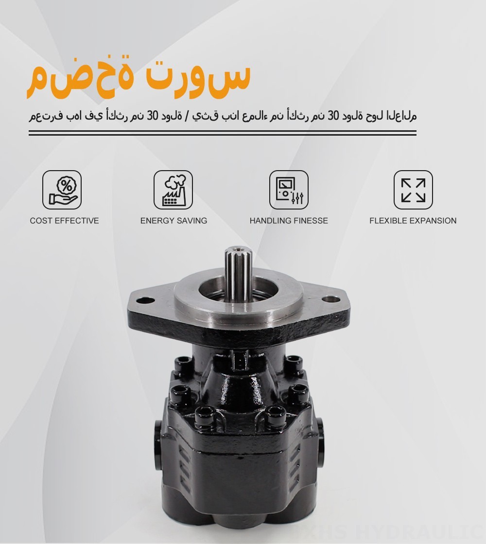 CBHL-2000 50 سم مكعب/لفة مضخة التروس الهيدروليكية