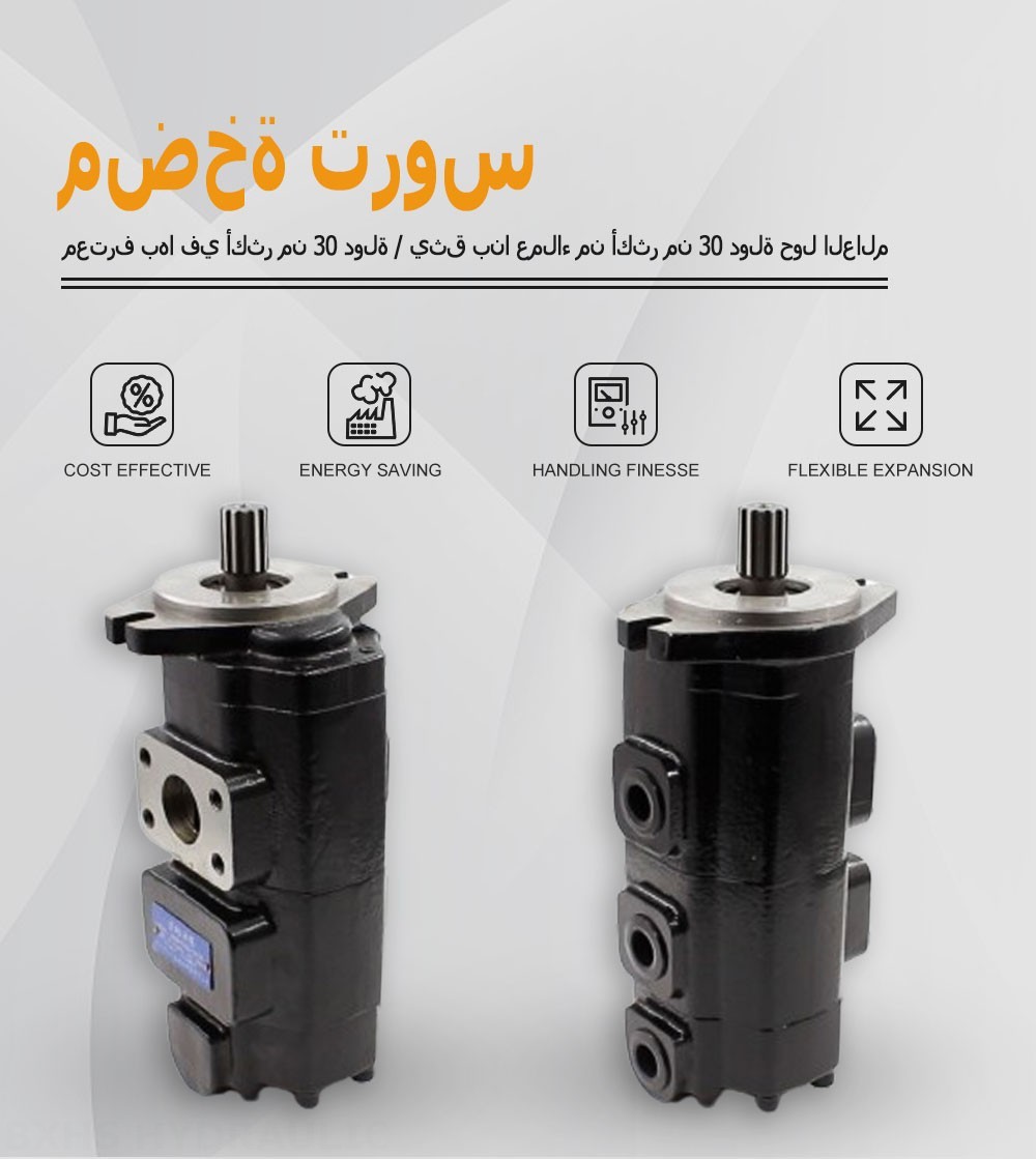 CBHS-F420 20 سم مكعب/لفة مضخة التروس الهيدروليكية