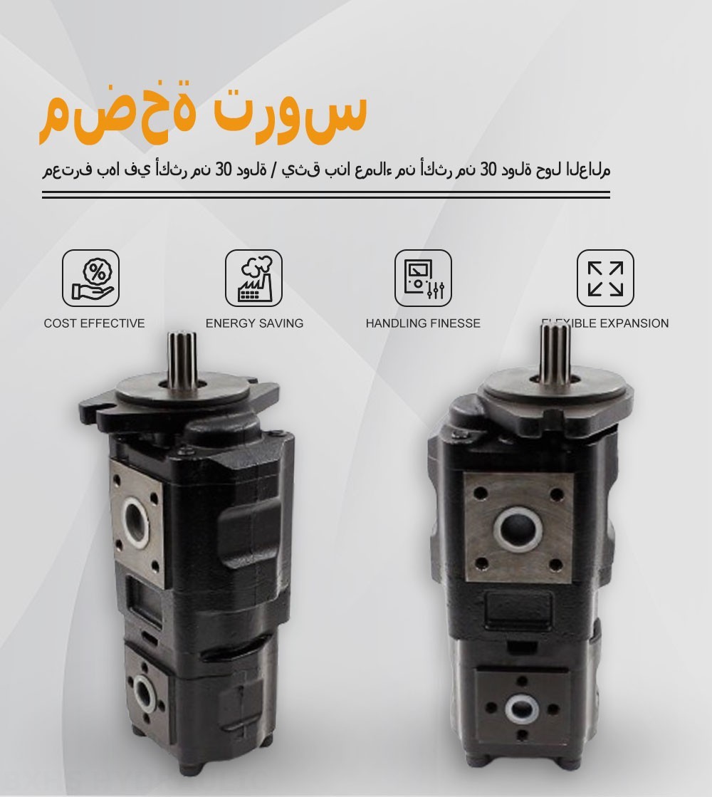 CBHS-F4 40 سم مكعب/لفة مضخة التروس الهيدروليكية