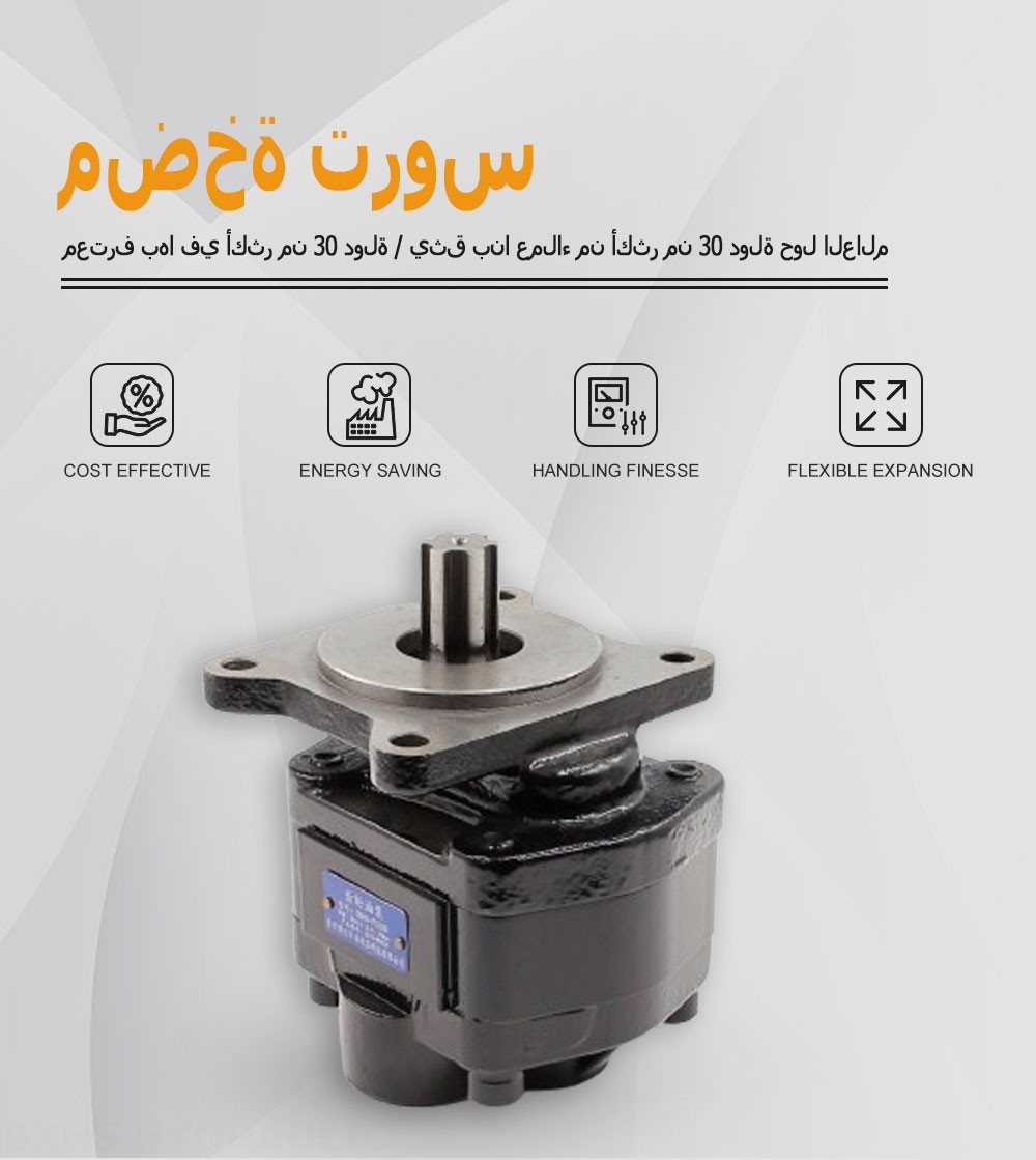 CBHS-F520R 20 سم مكعب/لفة مضخة التروس الهيدروليكية