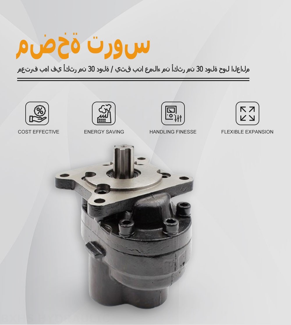 CBHS-F532 32 سم مكعب/لفة مضخة التروس الهيدروليكية