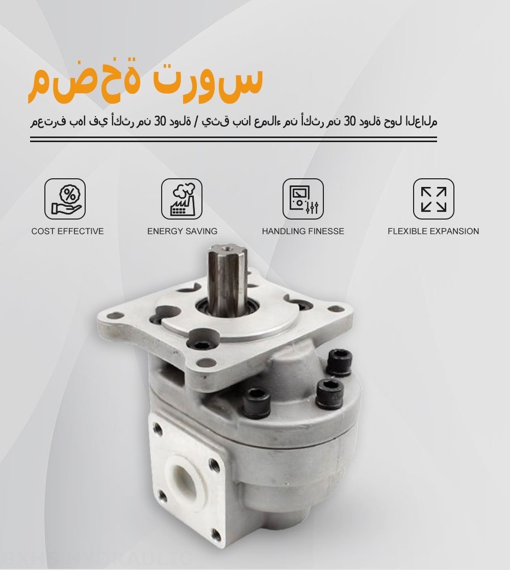 CBHS-F550 50 سم مكعب/لفة مضخة التروس الهيدروليكية