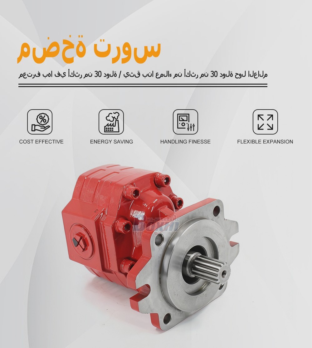 CBHS3100 100 cc/rev Hydraulic Gear Pump Unit Specification