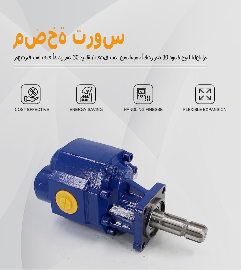 CBHST1-110-KZ 110 cc/rev Hydraulic Gear Pump for Industrial Machinery