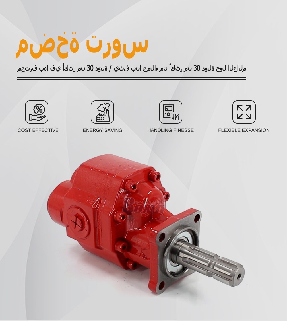 Bulk Order CBHST1-80-KZ 80 cc/rev Hydraulic Gear Pump from Certified Factory