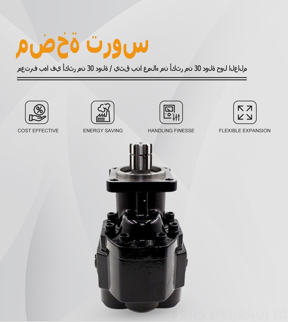 CBHST1-ISO-110 110 سم مكعب/لفة مضخة التروس الهيدروليكية