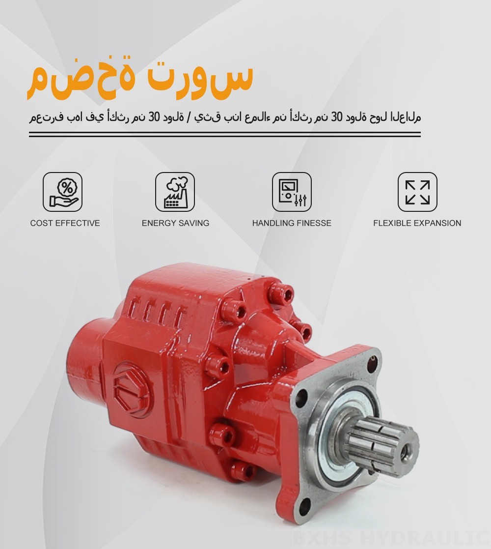 CBHST1-ISO-63-X 63 سم مكعب/لفة مضخة التروس الهيدروليكية