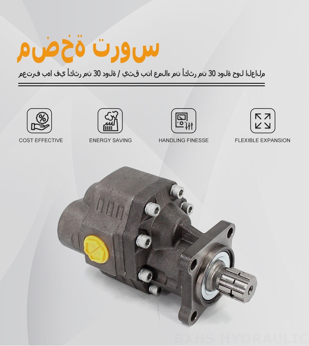 CBHW-ISO-100-Y 100 سم مكعب/لفة 22 ميجا باسكال (3190 رطل لكل بوصة مربعة) مضخة التروس الهيدروليكية