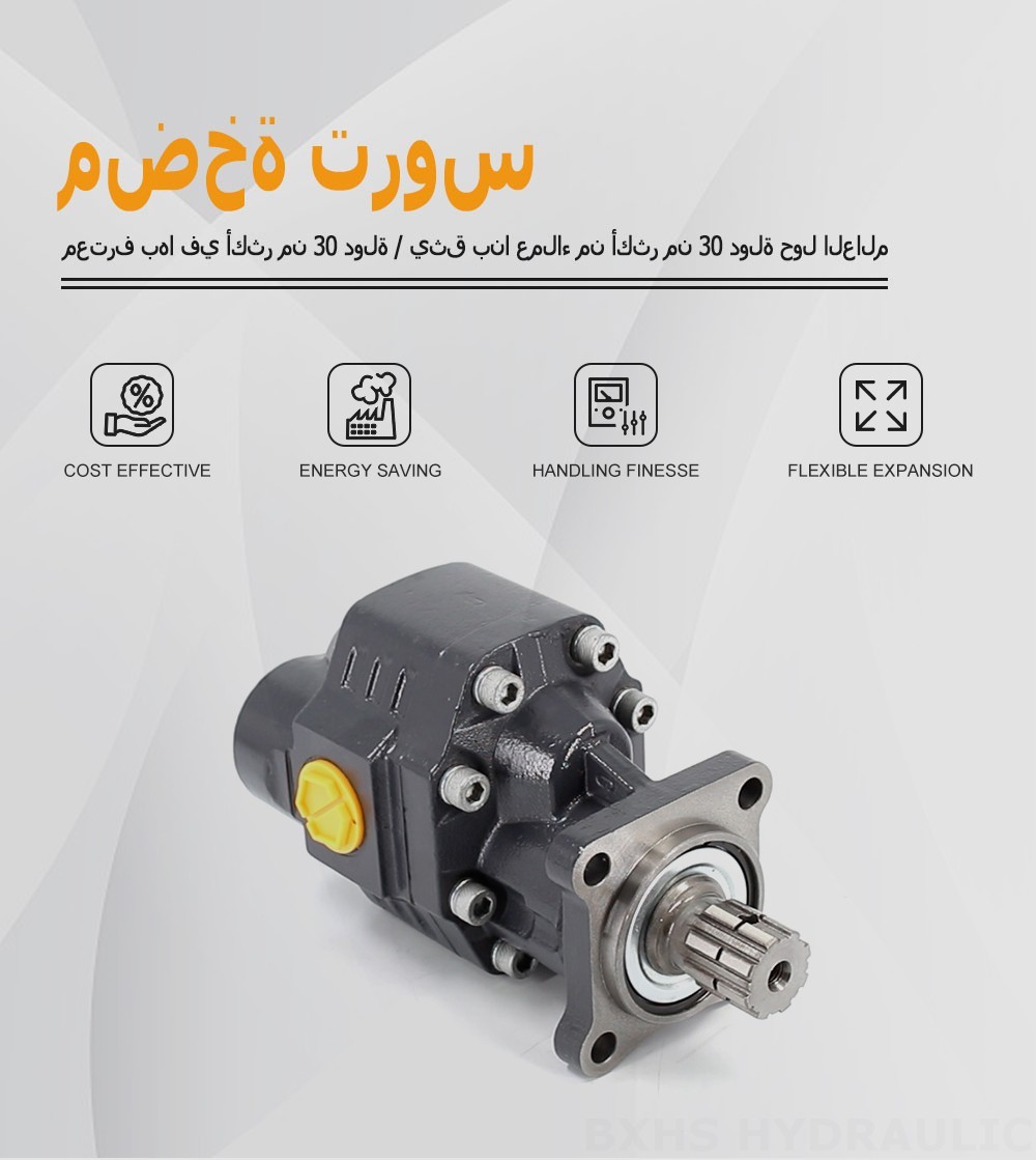 CBHW-ISO-80-H 80 سم مكعب/لفة 22 ميجا باسكال (3190 رطل لكل بوصة مربعة) مضخة التروس الهيدروليكية