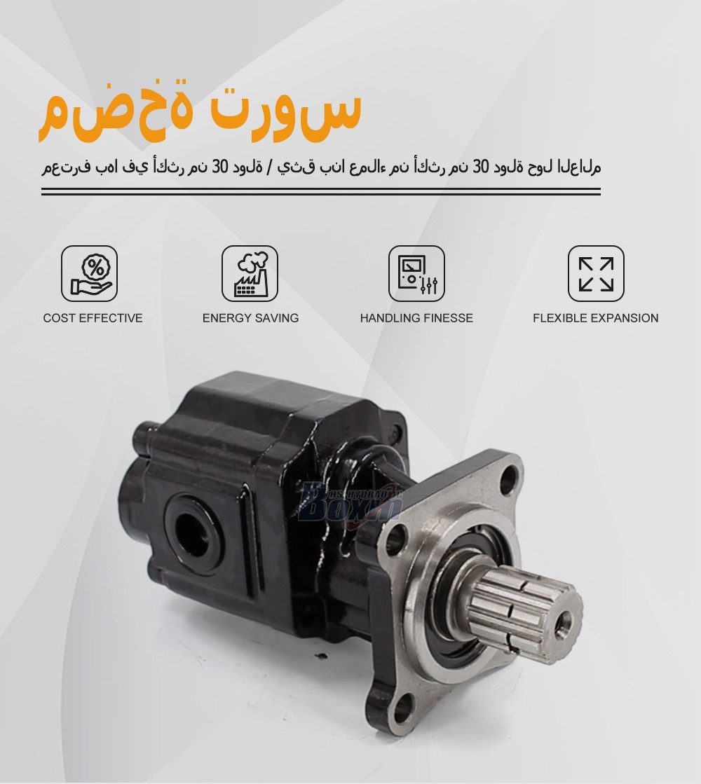 Durable CBHX1032-ISO 32 cc/rev Gear Pump for Hydraulic Systems