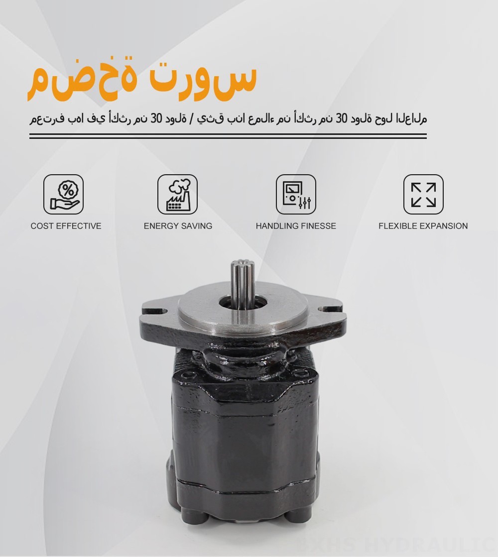 CBHZ-F20R ١٩.٧ سم³/دورة مضخة التروس الهيدروليكية