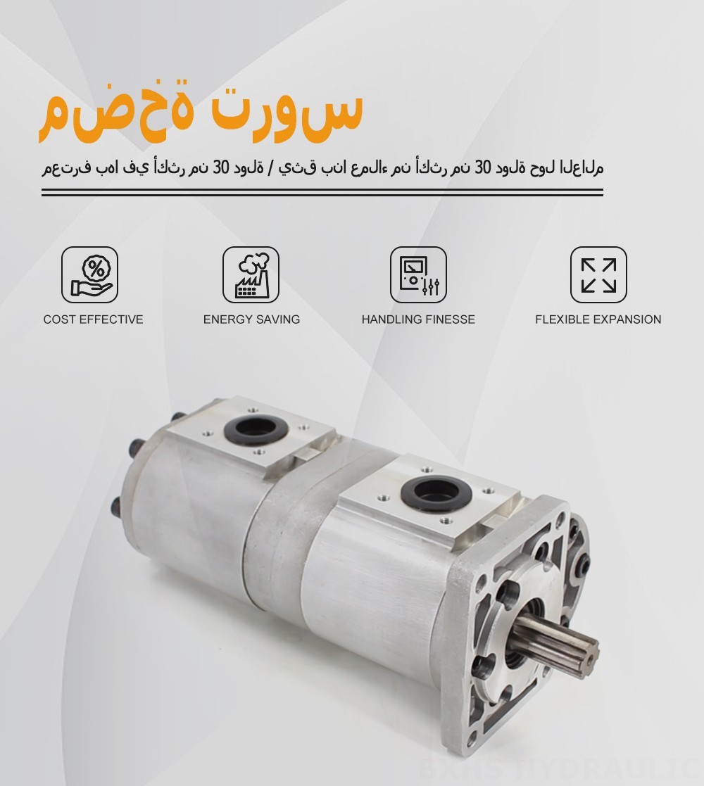 CBN-F540 40 سم مكعب/لفة مضخة التروس الهيدروليكية