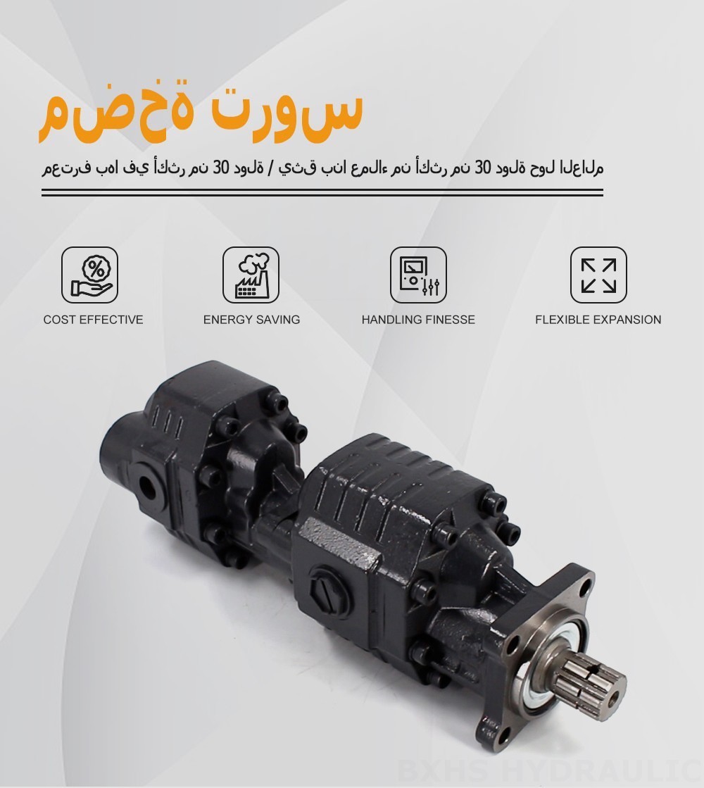 CBSL-2063-2040 63 سم مكعب/لفة 20 ميجا باسكال (2900 رطل لكل بوصة مربعة) مضخة التروس الهيدروليكية