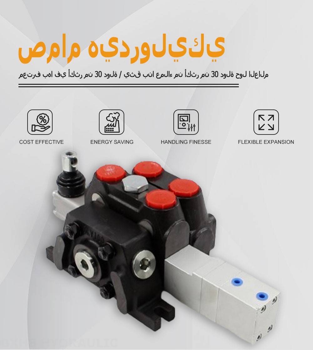 DCV100 هوائي صمام 1 صمام اتجاهي قطاع