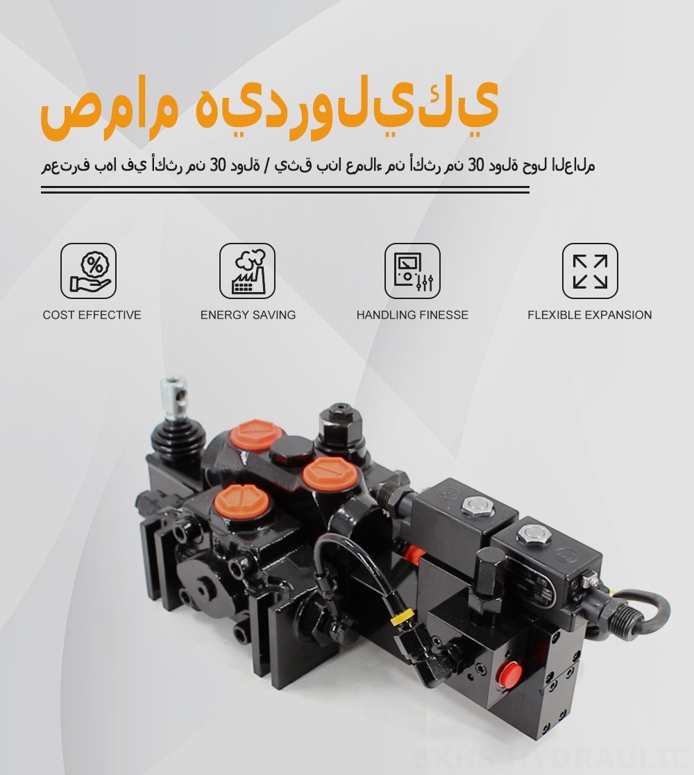 DCV200-FB كهروهيدروليكي صمام 1 صمام اتجاهي قطاع
